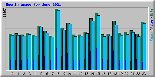 Hourly usage for June 2021
