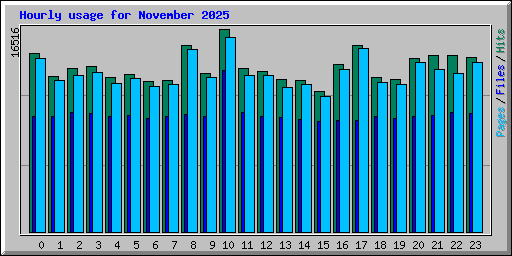 Hourly usage for November 2025
