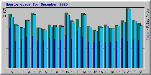 Hourly usage for December 2025