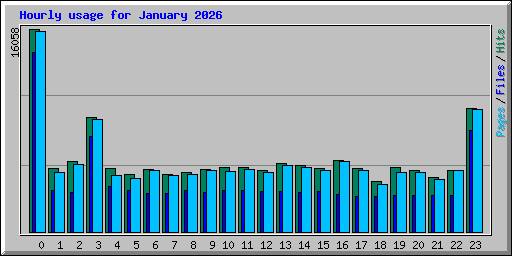 Hourly usage for January 2026
